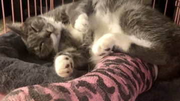 Help Fix Maci's Broken Leg